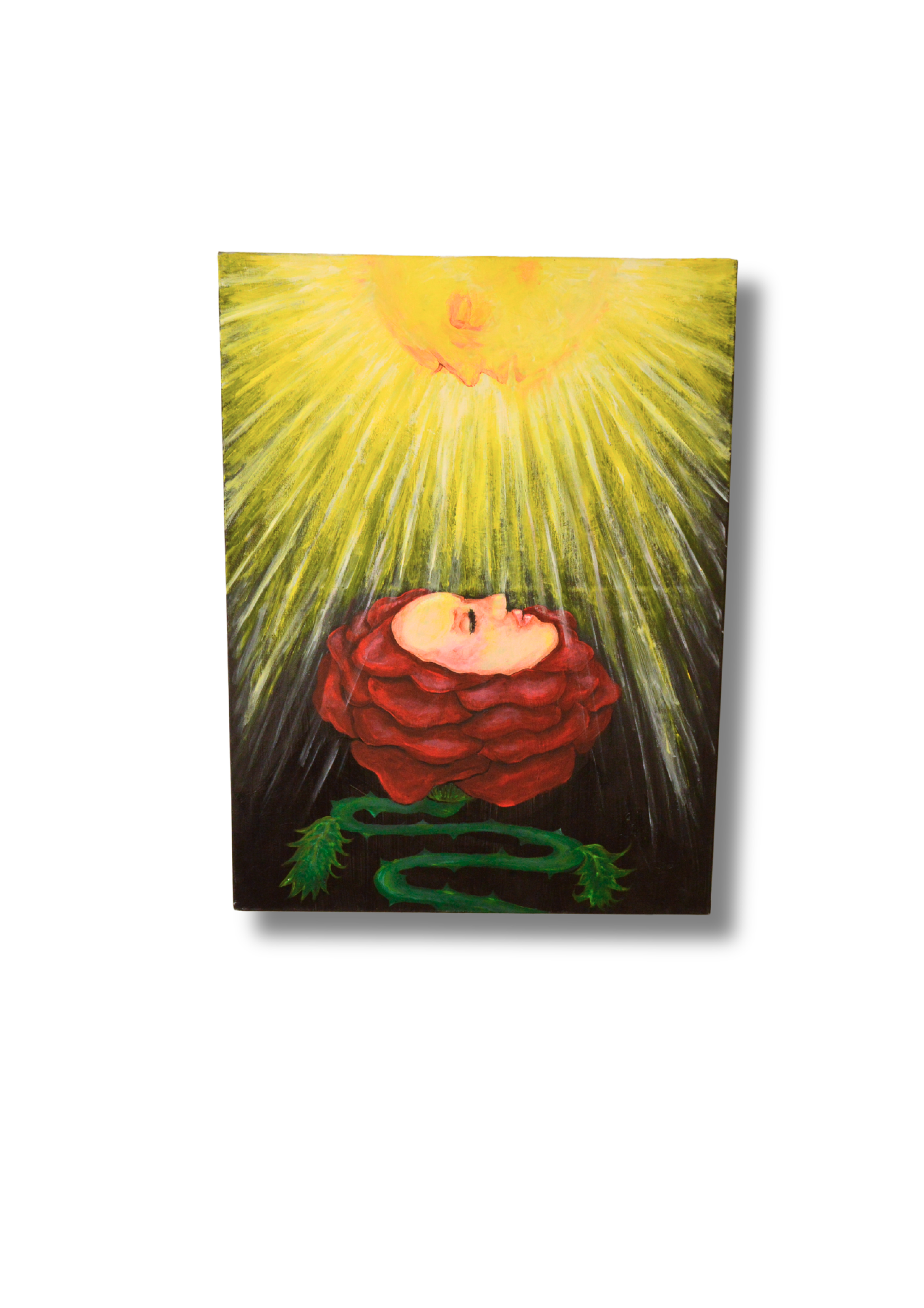 The Flower and the Sun